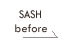 sash